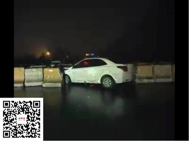 现代瑞纳