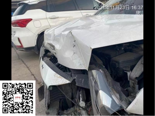 现代瑞纳