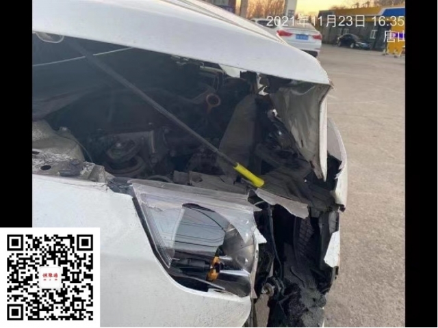 现代瑞纳