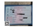 一汽青岛